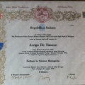 Ingrandire l'immagine: certificate 1