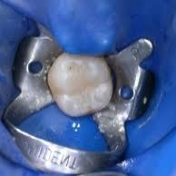 Ingrandire l'immagine: Valentina Gennari, dentista Reggio Emilia