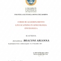 Ingrandire l'immagine: certificate 17