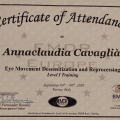 Ingrandire l'immagine: certificate 1