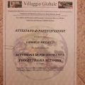 Ingrandire l'immagine: certificate 8