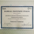 Ingrandire l'immagine: certificate 1