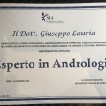 Ingrandire l'immagine: certificate 5