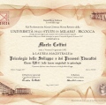 Ingrandire l'immagine: certificate 1