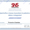 Ingrandire l'immagine: certificate 2
