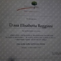 Ingrandire l'immagine: certificate 25
