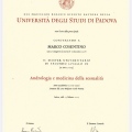 Ingrandire l'immagine: certificate 4