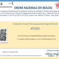 Ingrandire l'immagine: certificate 11