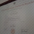 Ingrandire l'immagine: certificate 2