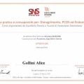 Ingrandire l'immagine: certificate 9