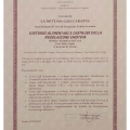 Ingrandire l'immagine: certificate 8