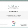 Ingrandire l'immagine: certificate 9
