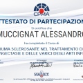Ingrandire l'immagine: certificate 2