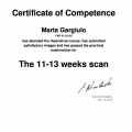 Ingrandire l'immagine: certificate 1