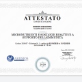 Ingrandire l'immagine: certificate 22