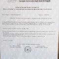 Ingrandire l'immagine: certificate 2