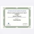 Ingrandire l'immagine: certificate 4