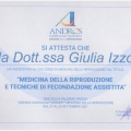 Ingrandire l'immagine: certificate 4