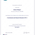 Ingrandire l'immagine: certificate 2