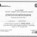 Ingrandire l'immagine: certificate 5