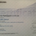 Ingrandire l'immagine: certificate 4