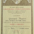 Ingrandire l'immagine: certificate 1