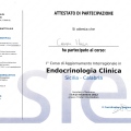 Ingrandire l'immagine: certificate 4