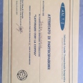 Ingrandire l'immagine: certificate 1