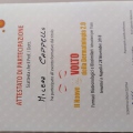 Ingrandire l'immagine: certificate 12