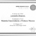 Ingrandire l'immagine: certificate 3