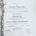 Ingrandire l'immagine: certificate 3