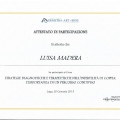 Ingrandire l'immagine: certificate 3