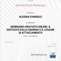 Ingrandire l'immagine: certificate 7