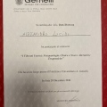 Ingrandire l'immagine: certificate 26