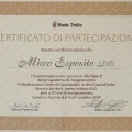 Ingrandire l'immagine: certificate 9