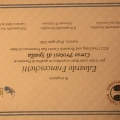 Ingrandire l'immagine: certificate 1
