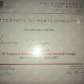 Ingrandire l'immagine: certificate 45