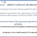 Ingrandire l'immagine: certificate 2