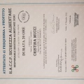 Ingrandire l'immagine: certificate 10