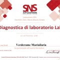 Ingrandire l'immagine: certificate 8