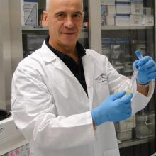 Ingrandire l'immagine: Alberto Gobbi, medico dello sport Milano