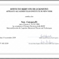 Ingrandire l'immagine: certificate 1