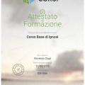 Ingrandire l'immagine: certificate 3