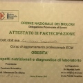 Ingrandire l'immagine: certificate 4
