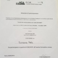 Ingrandire l'immagine: certificate 23