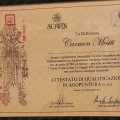 Ingrandire l'immagine: certificate 1