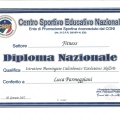 Ingrandire l'immagine: certificate 5