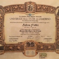 Ingrandire l'immagine: certificate 5