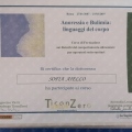 Ingrandire l'immagine: certificate 17