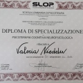 Ingrandire l'immagine: certificate 1